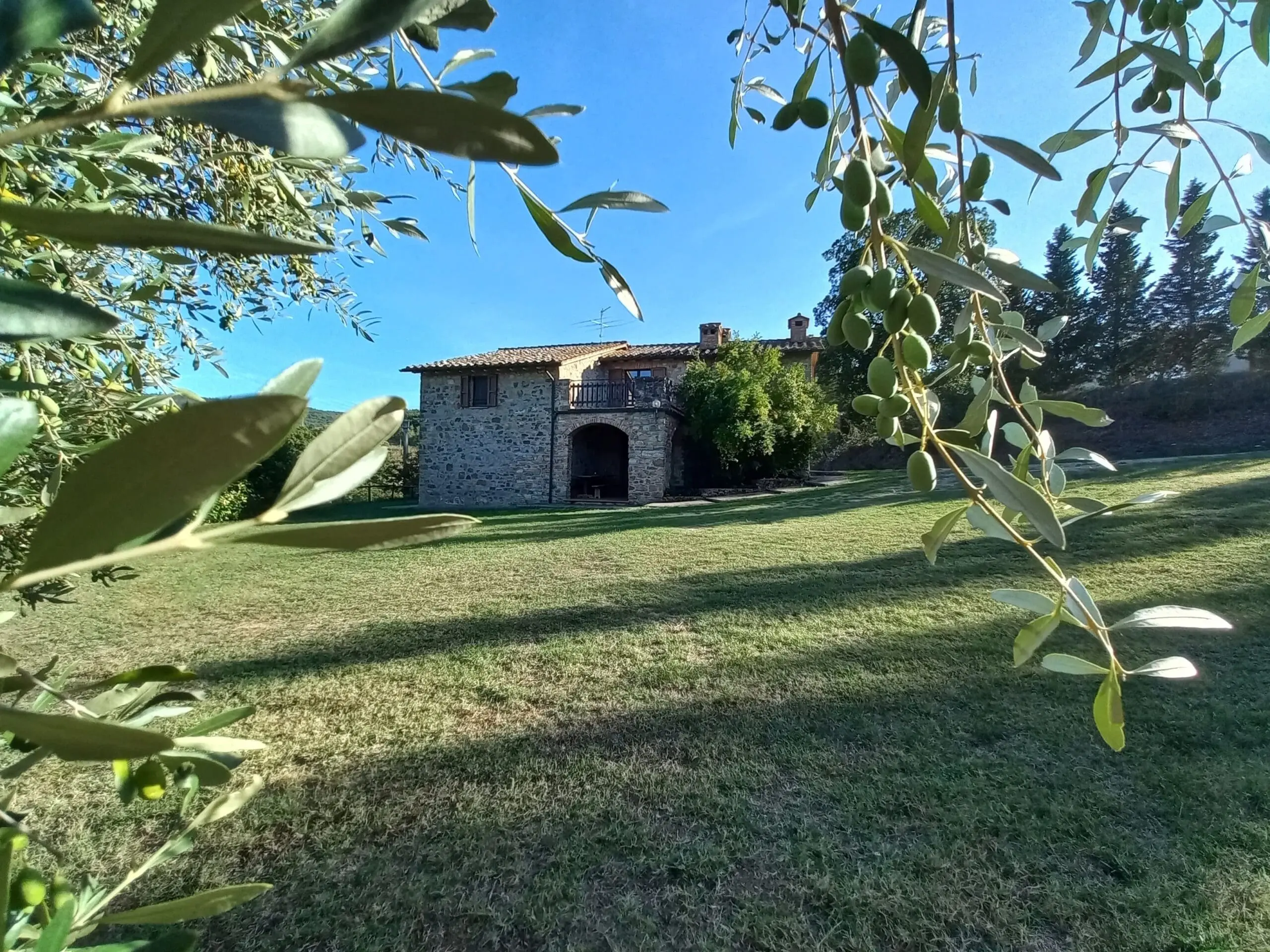 la bulletta (3)