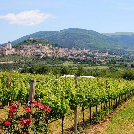 Assisi001 1