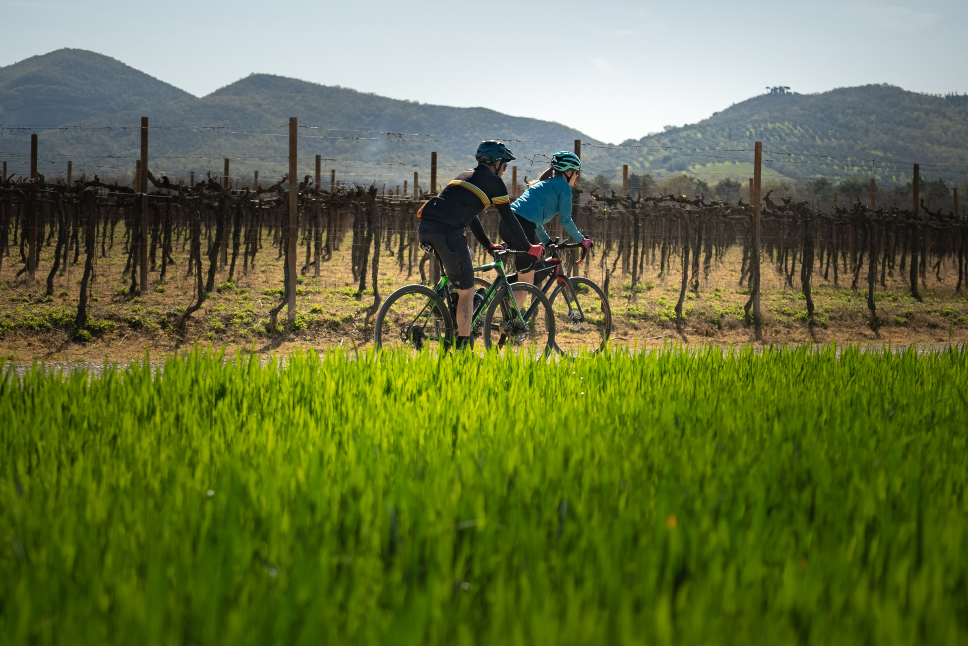 vigneto bici